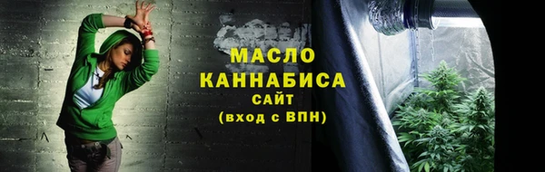 амф Верхний Тагил