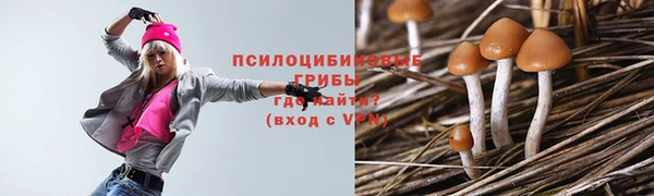 амф Верхний Тагил