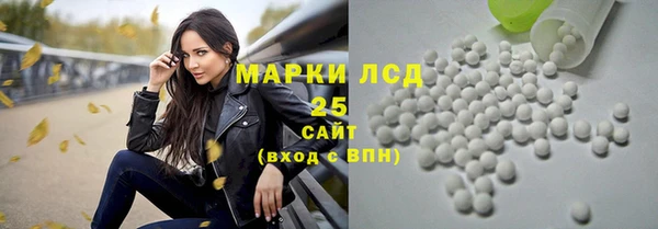 амф Верхний Тагил