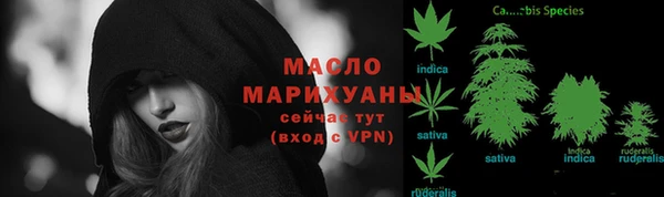 амф Верхний Тагил